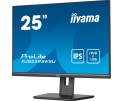 Monitor 25 cali XUB2595WSU-B5 IPS.PIVOT.16:10.USB.DP.HDMI.VGA.2x2W.  300(cd/m2).HAS(150mm) -1689390