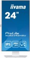 Monitor 23.8 cala XUB2492HSU-W6 IPS,HDMI,DP,100Hz,SLIM,HAS(150mm),4xUSB-1720228