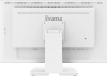 Monitor 27 cali T2752MSC-W1 10 PKT. POJ,IPS,HDMI,DP,2x2USB(3.2),2x1W400cd/m2,7H -1782998