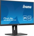 Monitor 24 cale XUB2491H-B1 IPS, HDMI, DP, 2x2W, HAS, Pivot-1894312