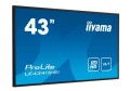 Monitor wielkoformatowy 43 cale LE4341S-B1 IPS,FHD,18/7,LAN,HDMI-1658424
