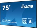 Monitor 75 cali LH7565UHSB-B1, 24/7, IPS, ANDROID 11, 4K, 800cd, iiSignage2, SDM, 2x HDMI, DP, 2x USB,2x 10W, RJ45, WiFi, 4/32GB, PION/POZIOM, 400x400(vesa)-1826186