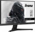 Monitor 22 cale G2245HSU-B2 IPS,FHD,100Hz,1ms,2xUSB,300cd-1924344