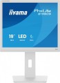 Monitor 19 cali B1980S-W1 HDMI,DP.PIVIOT,HAS/150mm-2042627