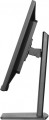 Monitor 32 cali XUB3297QSNP-B1 + Norton Small Business card 250G PL-2115031