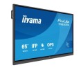 Monitor 65 cali TN6505A-B1AG IPS,4K,40pkt,500cd,nonOS,1200:1,5ms,    DeepContrast-IR+, 1xVGA,2xHDMI,DP,USB-C(PD65W),2xRJ45,2x20W,PiP,PbP,UCHWYT ŚCIENN-2133880