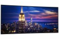 Monitor 52 cale U5226KW IPS 6K 21:9/HDMI/DP/USBC/RJ45/3Y/Curved-2152291