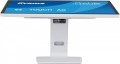 Monitor 24 cale  T2452MSC-W2AG 10PKT,POJ,IPS,HDMI,DP,420cd, biały-2192990