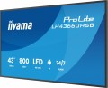 Monitor  profesjonalny 43 cale LH4366UHSB-B1AG 4K, VA, A14, 800cd, 4000:1, 6,5ms,2xHDMI, USB-C, RJ45, 2xUSB, 2x10W, WiFi, iiSignage2, RAM: 4GB, ROM: 3-2194719