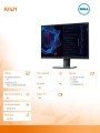 Monitor P2421 24 cale IPS LED WUXGA (1920x1200) /16:10/HDMI/DVI/VGA/DP/5xUSB 3.0/3Y PPG-1457295
