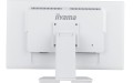Monitor 24 cale T2452MSC-W1 10 PKT. POJ,IPS,HDMI,DP -1692638
