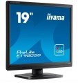 Monitor 19 cali ProLite E1980D-B1 VGA,DVI,5:4,TN,5ms,250cd -1536416
