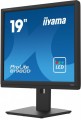 Monitor 19 cali B1980D-B5 DVI,VGA,PIVIOT,HAS/150mm,5:4 -1662156
