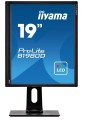 Monitor 19 cali B1980D-B1 DVI/VGA/5:4/PIVOT/HAS/ACR/VESA -1557564