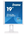 Monitor 19 cali B1980D-W1 DVI/VGA/5:4/PIVOT/HAS/ACR/VESA-1557568