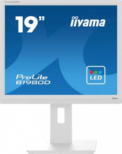 Monitor 19 cali B1980D-W5 DVI,VGA,PIVIOT,HAS/150mm,5:4 -1662165