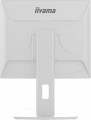 Monitor 19 cali B1980D-W5 DVI,VGA,PIVIOT,HAS/150mm,5:4 -1662173