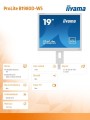 Monitor 19 cali B1980D-W5 DVI,VGA,PIVIOT,HAS/150mm,5:4 -1662179