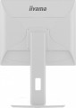 Monitor 19 cali B1980D-W5 DVI,VGA,PIVIOT,HAS/150mm,5:4 -1662171