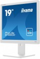Monitor 19 cali B1980D-W5 DVI,VGA,PIVIOT,HAS/150mm,5:4 -1662176