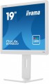 Monitor 19 cali B1980D-W5 DVI,VGA,PIVIOT,HAS/150mm,5:4 -1662174