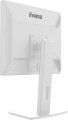 Monitor 19 cali B1980D-W5 DVI,VGA,PIVIOT,HAS/150mm,5:4 -1662168