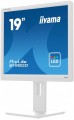 Monitor 19 cali B1980D-W5 DVI,VGA,PIVIOT,HAS/150mm,5:4 -1662175