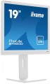 Monitor 19 cali B1980D-W5 DVI,VGA,PIVIOT,HAS/150mm,5:4 -1662177