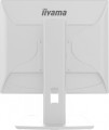 Monitor 19 cali B1980D-W5 DVI,VGA,PIVIOT,HAS/150mm,5:4 -1662170