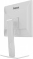 Monitor 19 cali B1980D-W5 DVI,VGA,PIVIOT,HAS/150mm,5:4 -1662169