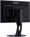 Monitor 22.5 XUB2395WSU-B1 IPS,PIVOT,1920x1200,DP,HDMI -1405392