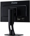 Monitor 22.5 XUB2395WSU-B1 IPS,PIVOT,1920x1200,DP,HDMI -1405391